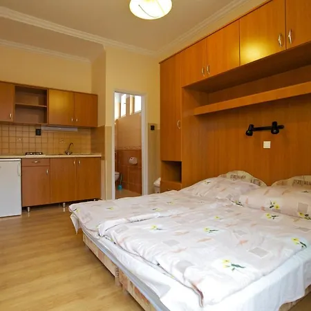 Apartament Ami *